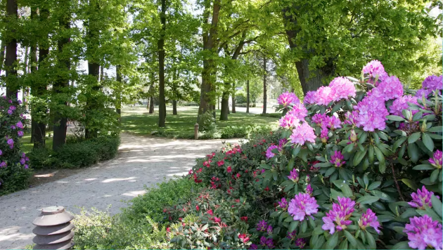 Kurpark